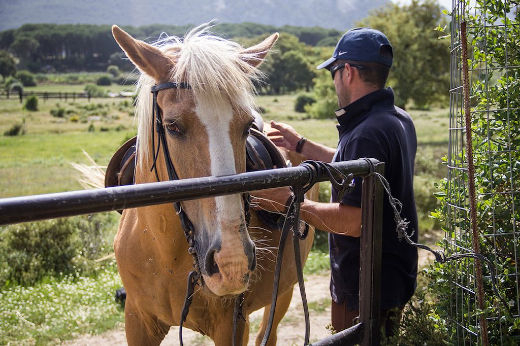 Equestrian tourism in Grazalema